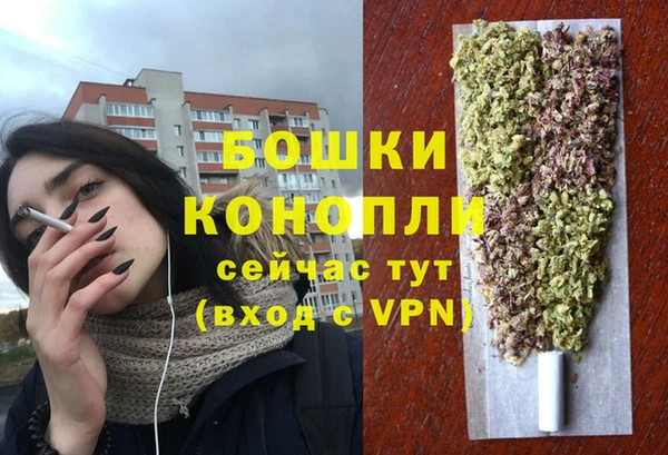 тгк Верея