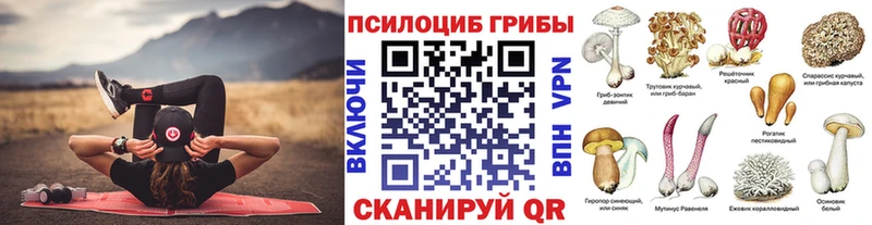 дарк нет формула  Ессентукская  Галлюциногенные грибы MAGIC MUSHROOMS 